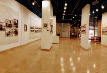 U SPA galeriji Instituta sutra otvranje izložbe Snežane Žmukić