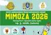 Herceg Novi domaćin devetog međunarodnog košarkaškog turnira „Mimoza 2026“