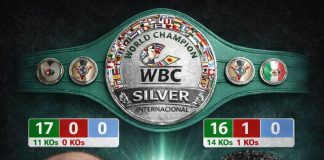 Звјездан Видаковић против Сахана Ајбаја за WBC титулу