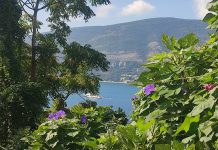 Добро јутро Херцег Нови!