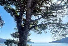 Добро јутро Херцег Нови!