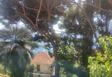 Добро јутро, Херцег Нови!