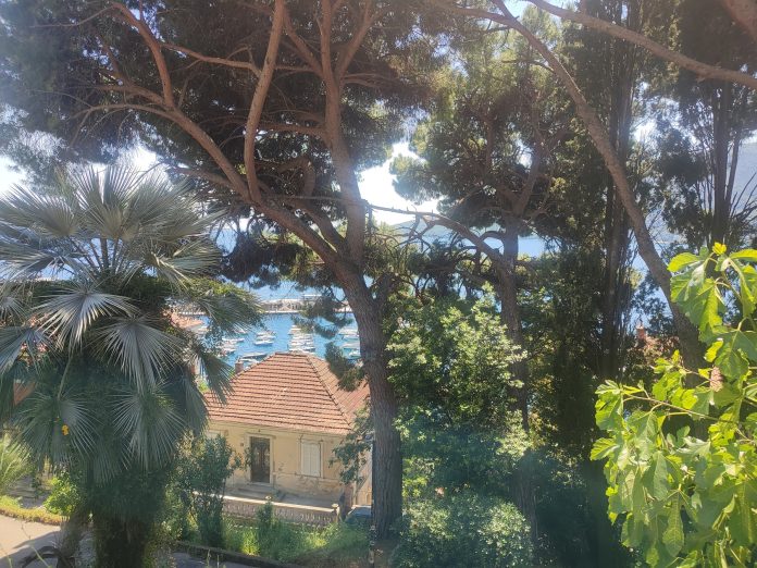 pogled na skver iz parka dobro jutro hn