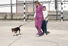 НВО Сара организовала дружење са корисницима Дневног центра