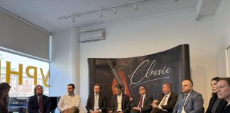 Festivali gitare u Beogradu i Herceg Novom jačaju veze dva grada