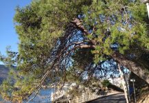 Добро јутро, Херцег Нови!