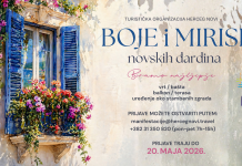 Пета акција „Боје и мириси новских ђардина“