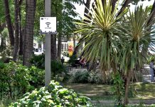 У Омладинском парку у Игалу од данас доступан беспатан јавни интерент