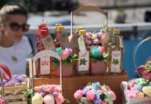 НВУ Руке – Фешта Примавера, позив излагачима