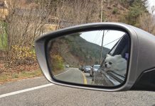 Поједностављена процедура за кретање кућних љубимаца у земље Европске уније