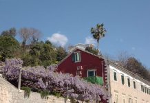 Добро јутро, Херцег Нови!