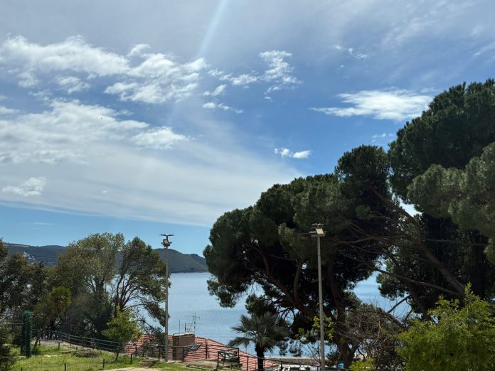 dobro jutro pogled iz parka