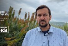 Najava „U četiri oka“: Gost Jovan Subotić