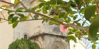 Добро јутро, Херцег Нови!