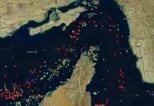 Radulović: Pomorci dobrog zdravlja, učinićemo sve da ih vratimo kući što prije bezbjedne