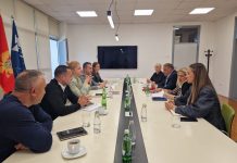 Подржана иницијатива за израду програма изборног предмета ромског језика на Универзитету