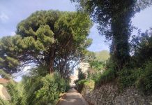 Добро јутро, Херцег Нови!