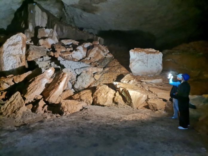 Image-1 (1)