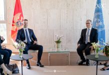 Спајић у УНЕСКО-у: Постоји снажна политичка воља за борбу против нарушавања заштићених локалитета