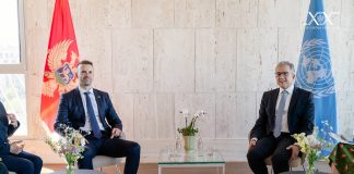 Спајић у УНЕСКО-у: Постоји снажна политичка воља за борбу против нарушавања заштићених локалитета