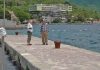 „Море и залеђе“: Кад би мула причала…
