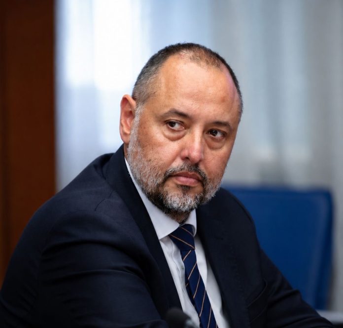 nenad vitomirovic