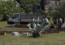 Zasađeno sezonsko cvijeće na skverovima u Igalu i Meljinama